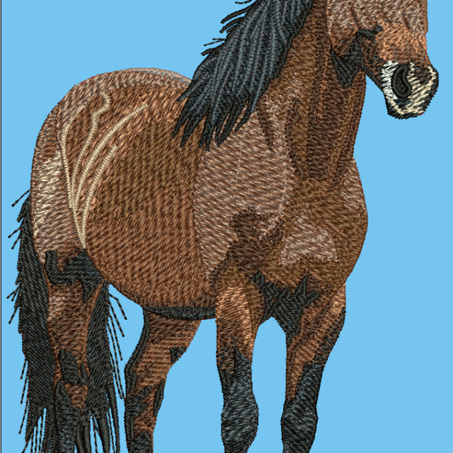 Horse